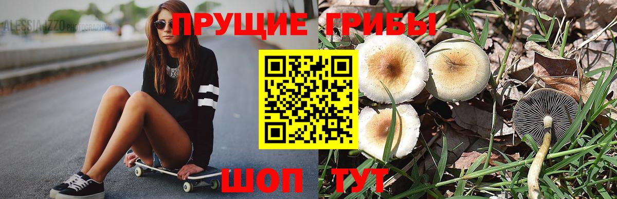 Касимов  Галлюциногенные грибы Psilocybe  Псилоцибиновые грибы ЛСД  Вход с VPN 