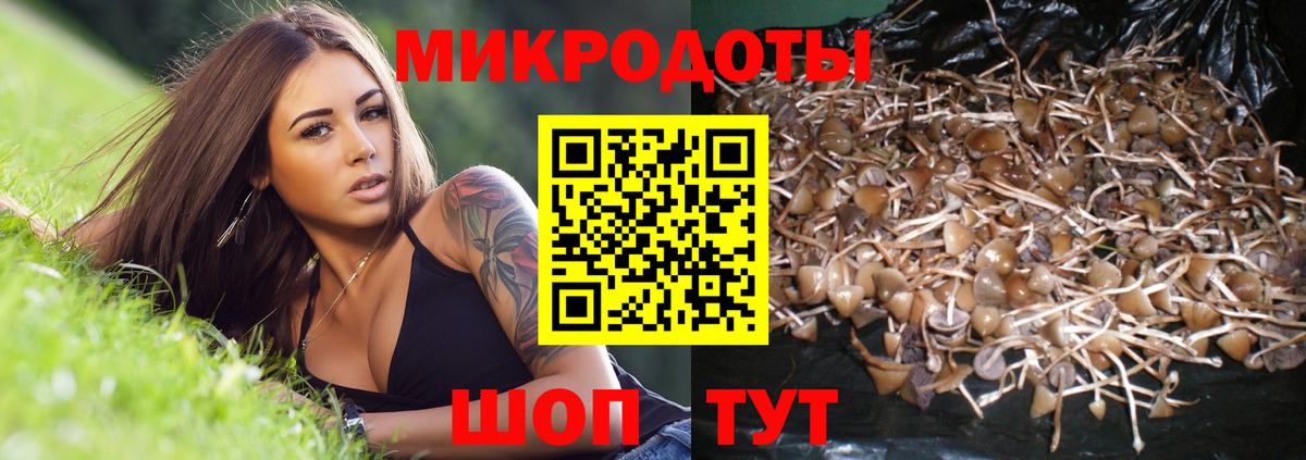 Галлюциногенные грибы Cubensis Касимов